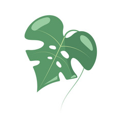 Leaf Tropical Icon