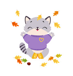 Funny Autumn Grey Cat Wear Sweater Sitting Among