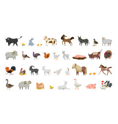 Collection Of Farm Animals