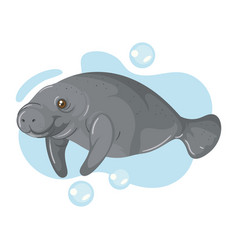 Cute Cartoon Manatee