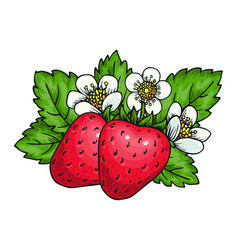 Ripe Strawberry Green Leaves Farm Fresh Red Berry