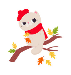 Funny Autumn Grumpy Cat Wear Scarf And Beret