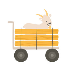 Goat In Trailer