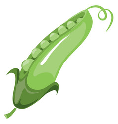 Green Pea Pot Cartoon Vegetable Fresh Icon