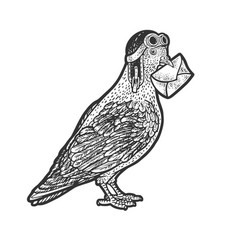 Homing Carrier Pigeon Sketch