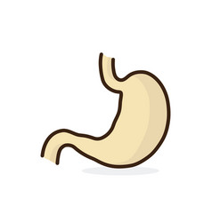 Stomach Icon Isolated