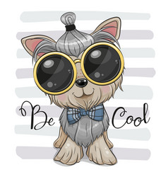 Dog Yorkshire Terrier With A Bowtie And Glasses