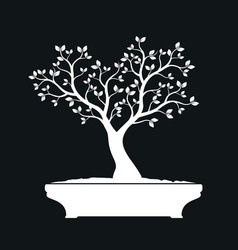 White Bonsai Tree On Black Background