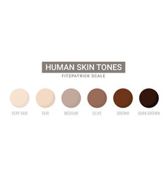 Skin Tone Color Scale Chart Brown Palette