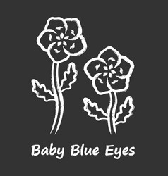 Baby Blue Eyes Chalk Icon Linen Blooming Flower