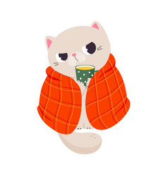 Funny Autumn Grumpy Cat Wrapped In Red Blanket