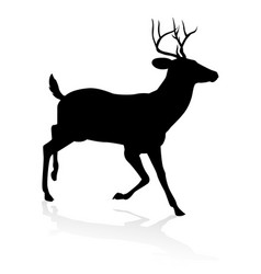 Deer Animal Silhouette