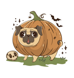 Funny Cartoon Pug Dog In A Halloween Pumpkin