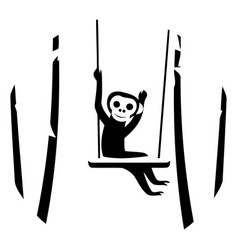 Cute Monkey On A Swing In The Jungle