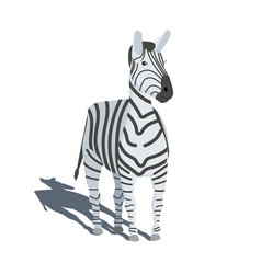 Striped Zebra Cartoon Character Standing On White