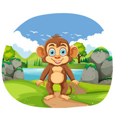 Monkey Standing In Forest Scene