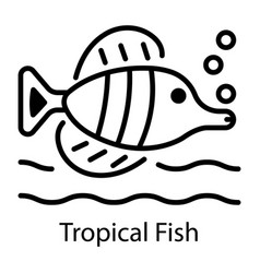 Tropical Fish