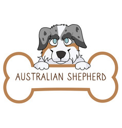 Cute Cartoon Australian Shepherd On Collar Dog Tag