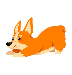 Corgi Dog Character Of