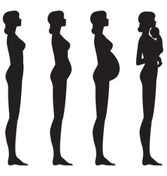 Pregnant Female Silhouettes