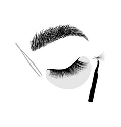 Eyelash Extension Process Icon