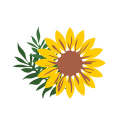 Sunflower Yellow With Green Leaves Isolated