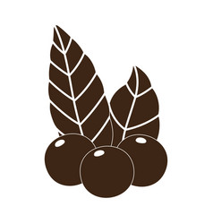 Coffee seeds branch foliage nature silhouette icon