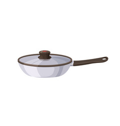 Frying Pan Skillet With Handle And Cover