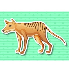 Tasmanian Tiger