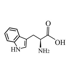 Tryptophan Amino Acid Chemical Molecular Formula