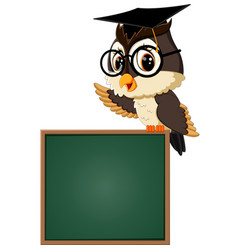 Owl teacher at blackboard Royalty Free Vector Image