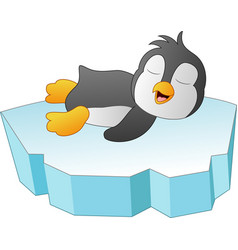 Cute Baby Penguin Sleep On Ice Floe