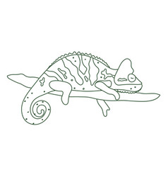 Chameleon Animal Sleeping Stroke