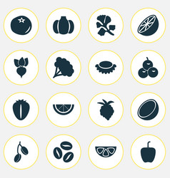 Food Icons Set With Olives Cocoanut Root