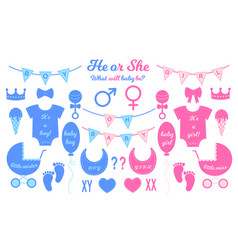 Gender Reveal Party Set Props For Baby Shower