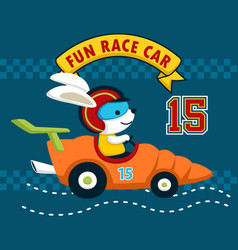 Fun Race Cartoon With Cute Bunny Cartoon