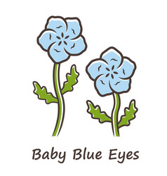 Baby Blue Eyes Color Icon Linen Blooming Flower