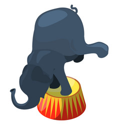 Circus Elephant Perfoms Trick Carnival Show Icon