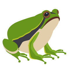 Green Frog Sitting Amphibia Wild Animal Icon