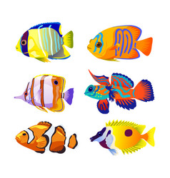 Colorful Coral Fish On White Background Cartoon