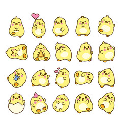 Cute Little Kawaii Baby Chicken Chicks