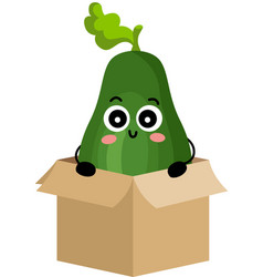 Funny Avocado Mascot In Cardboard Box