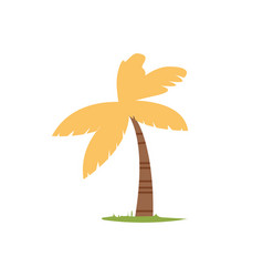 Coconut Palm Tree With Yellow Leaves