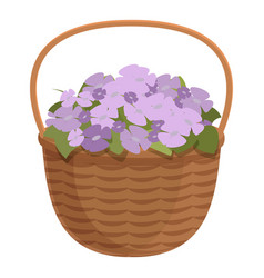 Season Flowers Basket Icon Cartoon Summer