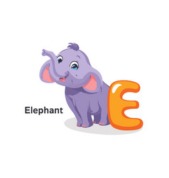 Concept Alphabet E Elephant This Is A Flat