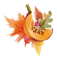 Cantaloupe Fall Design Watercolor