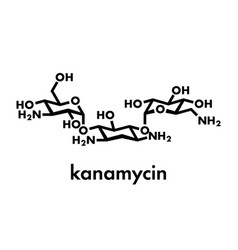 Kanamycin Antibiotic Drug Molecule Aminoglycoside