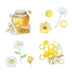 Watercolor Set Honey Honeycombs And Daisies