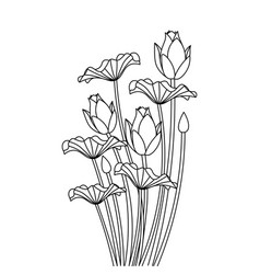 Water Lilies Continuous Line Drawing Coloring Book