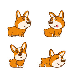 Welsh Corgi Pembroke Set On White Background